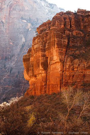 Zion NP, UT