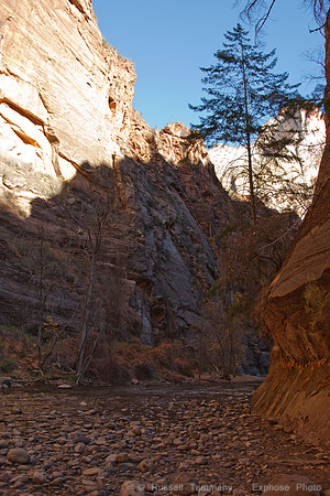 Zion NP, UT