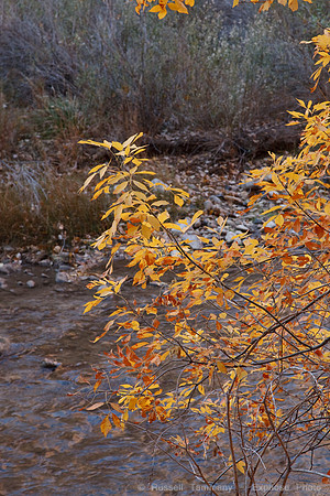 Zion NP, UT