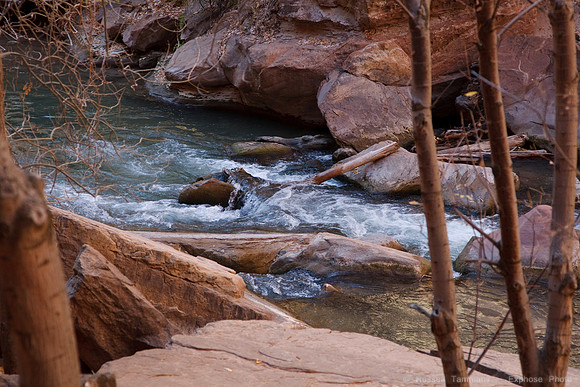 Zion NP, UT