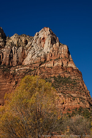 Zion NP, UT