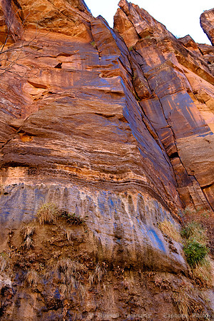 Zion NP, UT