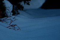 Lk. Tahoe near Incline