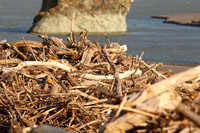 1D3_7602