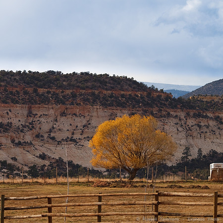 Boulder, UT