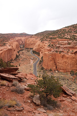 Burr Trail, Grand Staircase-Escalante NM