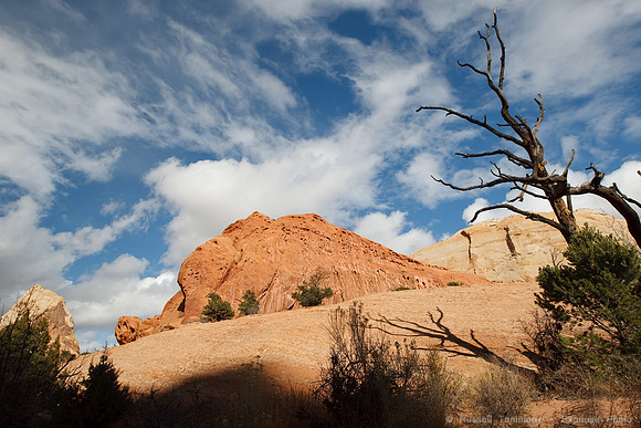 Upper Muley Twist Road, Capitol Reef NP