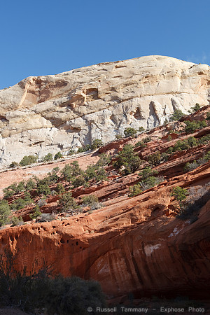 Upper Muley Twist Road, Capitol Reef NP