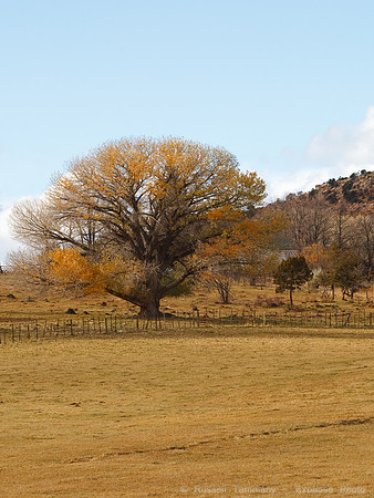 Boulder, UT
