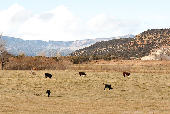 Boulder, UT