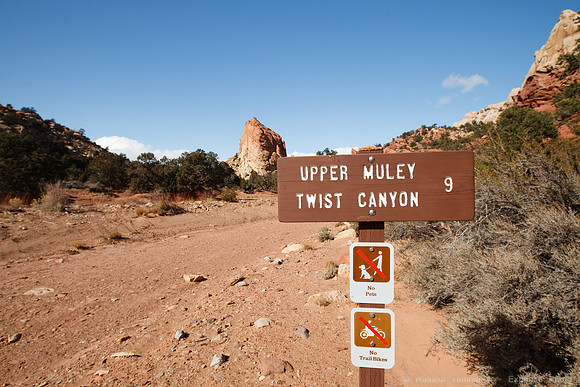 Strike Valley Overlook, Capitol Reef NP