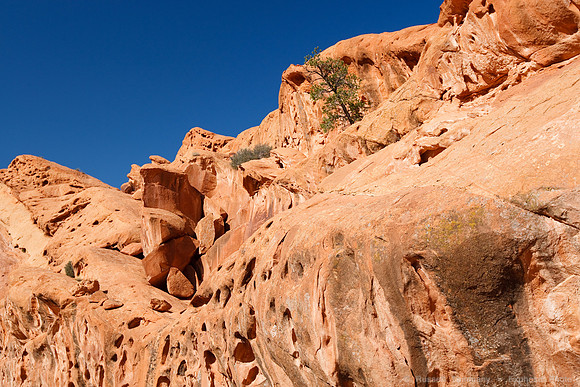 Upper Muley Twist Road, Capitol Reef NP