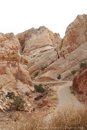 Burr Trail and Switchbacks, Capitol Reef NP