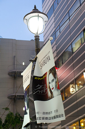 Shibuya, Tokyo, JP