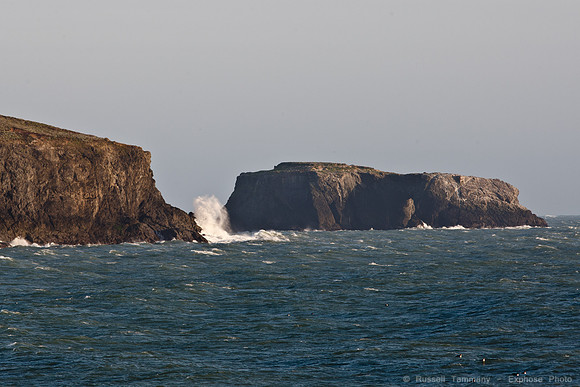 1D3_7942