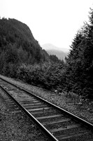 DSC03119