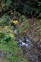 DSC03094