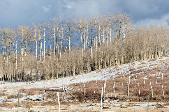Boulder Mtn, UT
