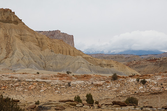 Bullfrog Rd, Capitol Reef NP