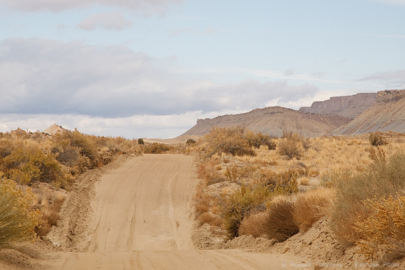 Bullfrog Rd, Capitol Reef NP