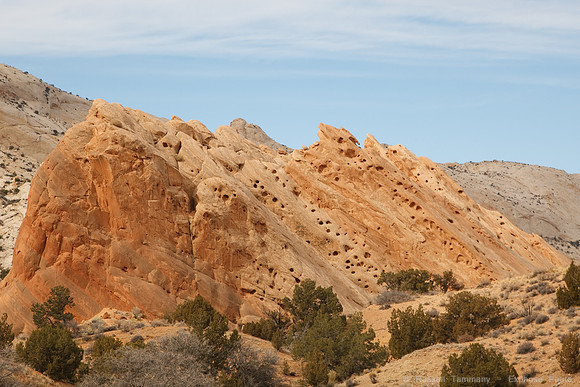 Burr Trail and Switchbacks, Capitol Reef NP