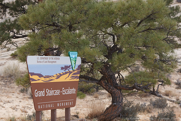 Burr Trail, Grand Staircase-Escalante NM
