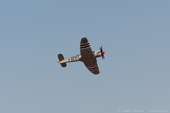 Reno Air Races 09 1D3_1491