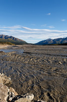 Denali NP