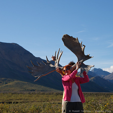 Denali NP