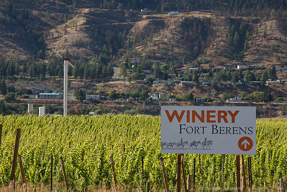 Winery in Fraser Canyon, Hwy 99, Lillooet, B.C