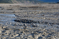 Denali NP