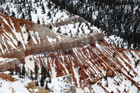 Cedar Breaks NM, UT