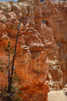 Bryce Canyon NP