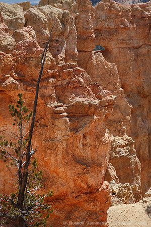 Bryce Canyon NP