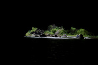 DSC05137