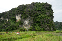 DSC05171
