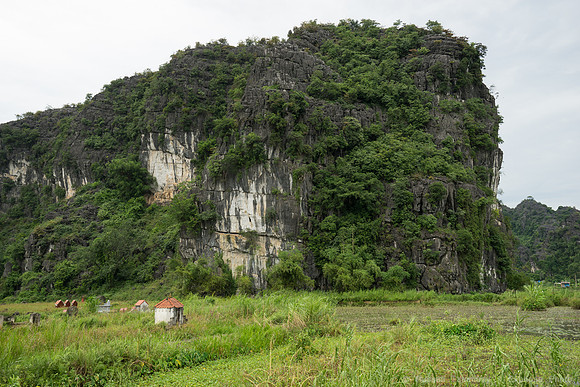 DSC05171