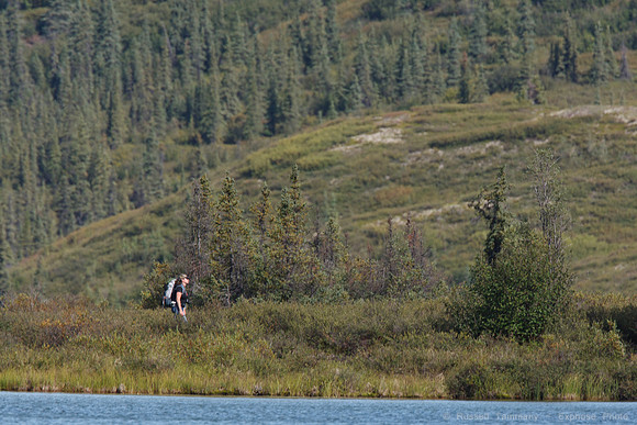 Denali NP
