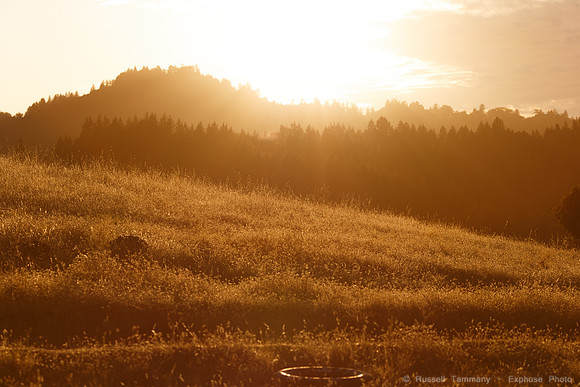 Lake Sonoma & Area