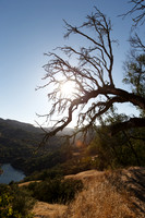 Lake Sonoma & Area