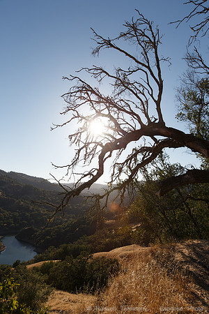 Lake Sonoma & Area