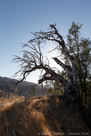 Lake Sonoma & Area