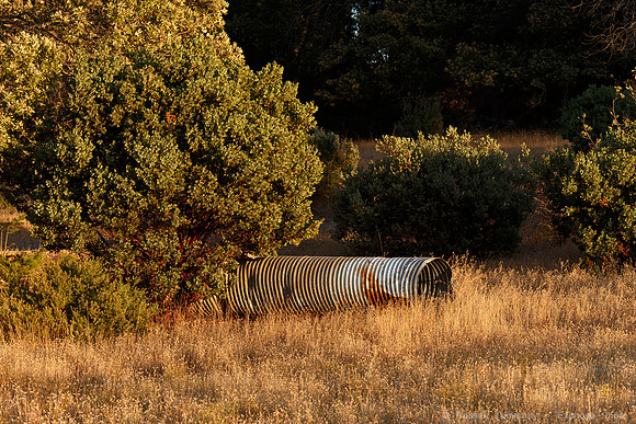 Lake Sonoma & Area