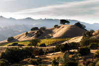Lake Sonoma & Area