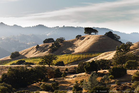 Lake Sonoma & Area
