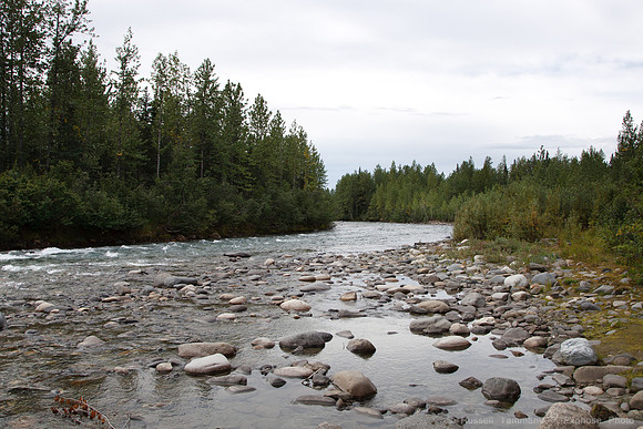 Parks Highway (I-A3) Near Trapper Creek