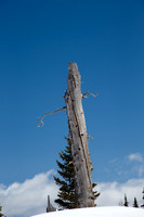 Cedar Breaks NM, UT
