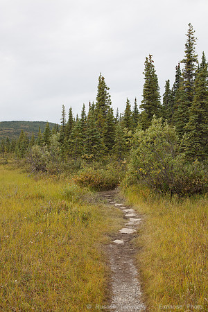 Denali NP