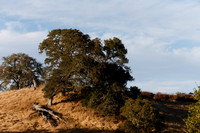 Lake Sonoma & Area