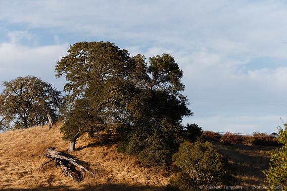 Lake Sonoma & Area